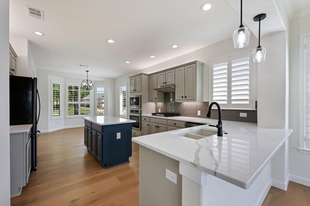 110 Chuckwagon Trl, Georgetown, TX 78633 - kitchen featuring a sink, appliances with stainless steel finishes, light wood-style floors, a peninsula, and a kitchen island