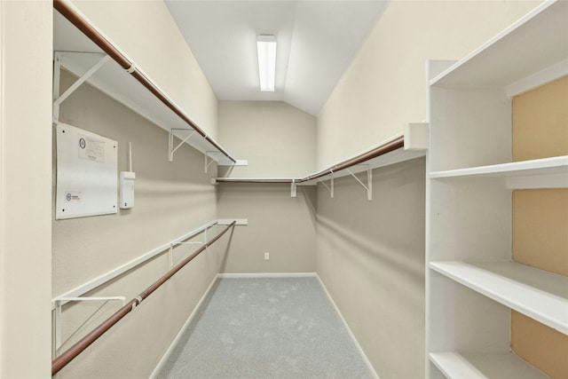 7420 Jaborandi Dr, Austin, TX 78739 - photo 23