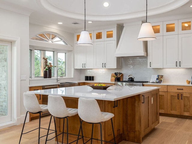 15902 Soleil Ct, Austin, TX 78734 - kitchen with custom range hood, light wood-style flooring, a center island, a sink, and a raised ceiling