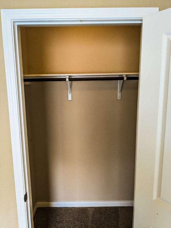1226 Hidden Cave Dr, New Braunfels, TX 78132 - view of closet