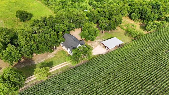 780 County Road 389, Granger, TX 76530 - photo 28
