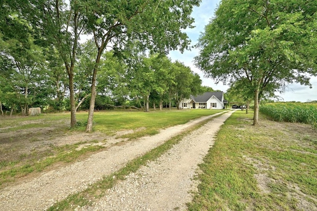 780 County Road 389, Granger, TX 76530 - photo 4