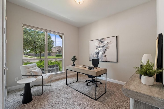 20213 Hidden Gully Ln, Pflugerville, TX 78660 - office featuring carpet floors and baseboards