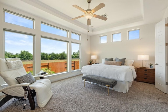 20213 Hidden Gully Ln, Pflugerville, TX 78660 - carpeted bedroom featuring a raised ceiling and a ceiling fan