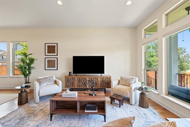 20213 Hidden Gully Ln, Pflugerville, TX 78660 - living area featuring wood finished floors, baseboards, and recessed lighting