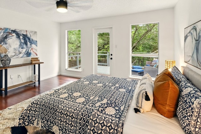 12707 Palfrey Dr, Austin, TX 78727 - bedroom with wood finished floors and ceiling fan