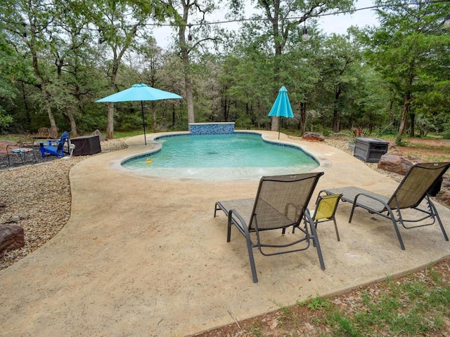 247 Campfire Way, Smithville, TX 78957 - swimming pool featuring a patio and view of scattered trees