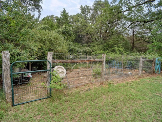 247 Campfire Way, Smithville, TX 78957 - view of yard featuring a vegetable garden and a gate