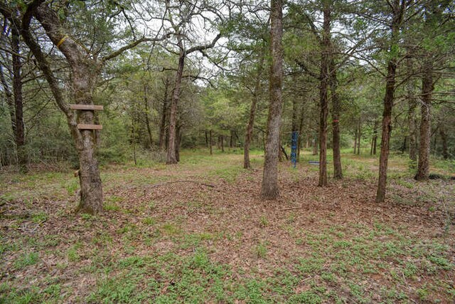 247 Campfire Way, Smithville, TX 78957 - view of wooded area