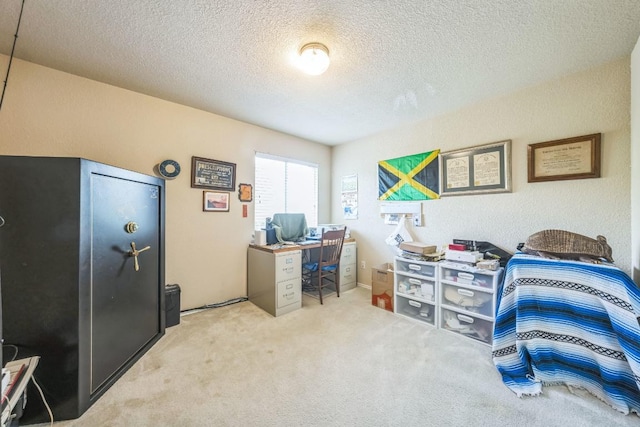 633 Sweet Leaf Ln, Pflugerville, TX 78660 - home office featuring a textured ceiling and carpet