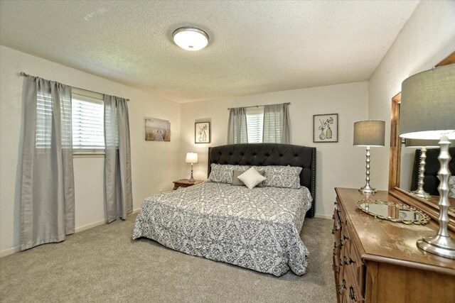 304 White Wing Way, Round Rock, TX 78664 - bedroom with carpet floors and a textured ceiling