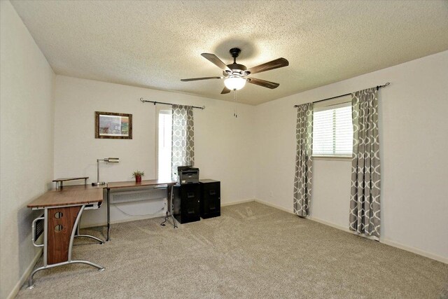 304 White Wing Way, Round Rock, TX 78664 - carpeted office space with a ceiling fan, plenty of natural light, a textured ceiling, and baseboards