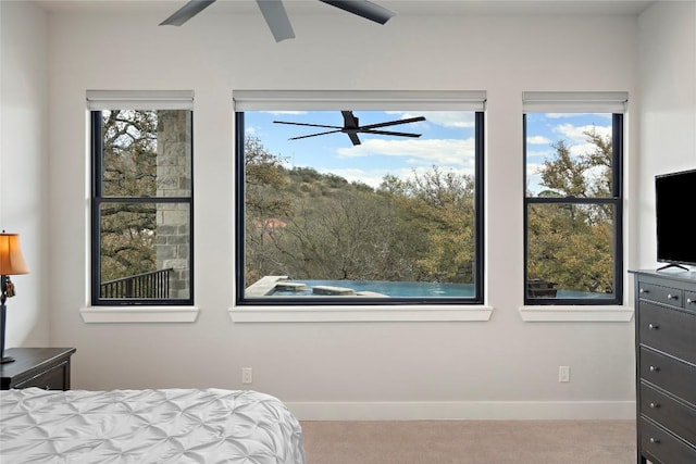 335 Sandy Mountain Dr, Sunrise Beach, TX 78643 - bedroom featuring baseboards and carpet floors