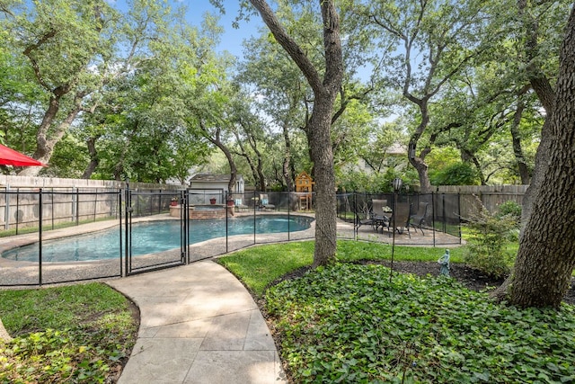 3808 Royal Troon Dr, Round Rock, TX 78664 - view of swimming pool featuring a fenced backyard and a patio