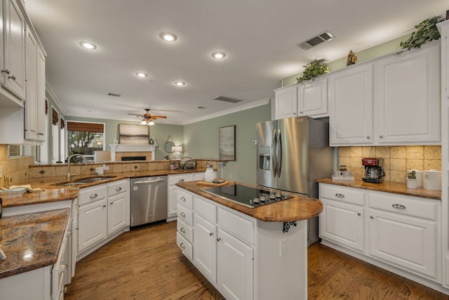 3808 Royal Troon Dr, Round Rock, TX 78664 - kitchen with appliances with stainless steel finishes, a sink, ceiling fan, crown molding, and white cabinetry