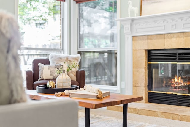 3808 Royal Troon Dr, Round Rock, TX 78664 - living room with a fireplace