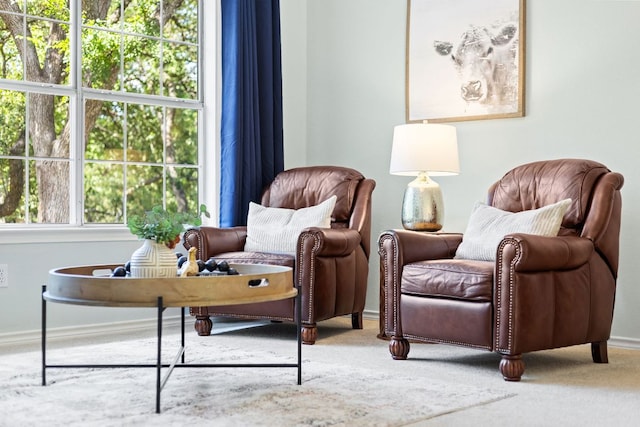3808 Royal Troon Dr, Round Rock, TX 78664 - sitting room with carpet and baseboards