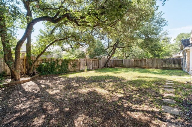 10609 Thoroughbred Dr, Austin, TX 78748 - view of yard
