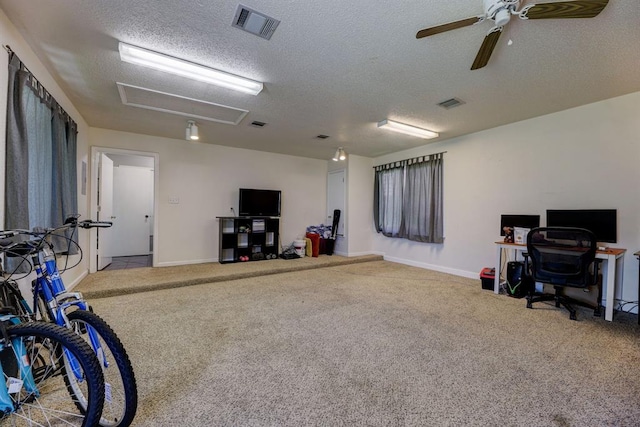1600 Hatch Rd, Cedar Park, TX 78613 - misc room featuring carpet floors, baseboards, ceiling fan, and a textured ceiling