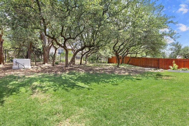 370 Ledge Stone Dr, Austin, TX 78737 - view of yard
