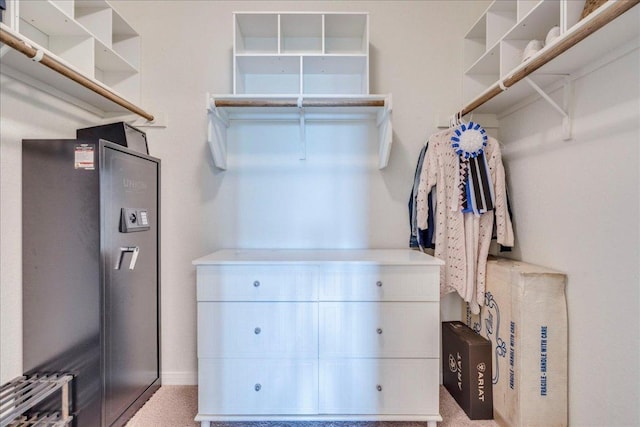 610 Ridge Park Dr, New Braunfels, TX 78130 - view of walk in closet