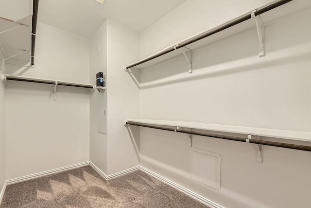 8817 Slater Dr, Austin, TX 78747 - spacious closet with carpet