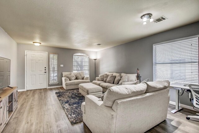 1032 Stacias Way, Pflugerville, TX 78660 - living room with light wood-style floors and baseboards