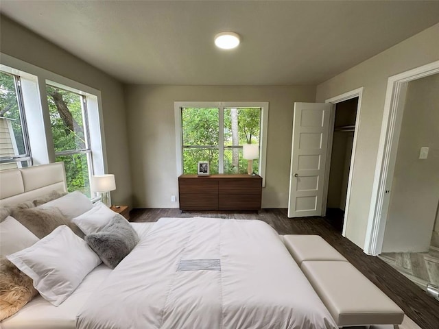 808 E 46th St Unit C, Austin, TX 78751 - bedroom featuring multiple windows and dark wood-type flooring