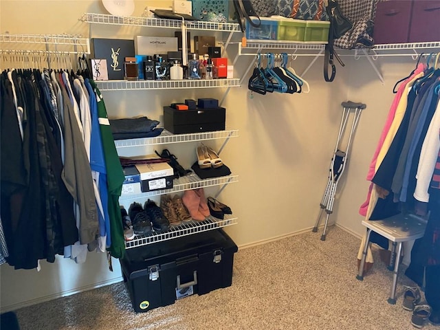 14501 Dreamtime Ln, Pflugerville, TX 78660 - walk in closet with carpet flooring