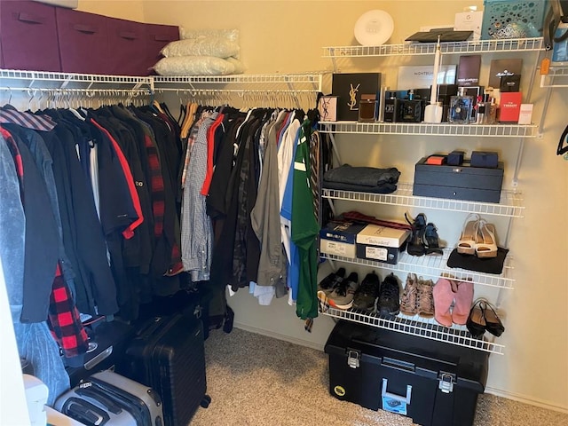 14501 Dreamtime Ln, Pflugerville, TX 78660 - walk in closet with carpet floors