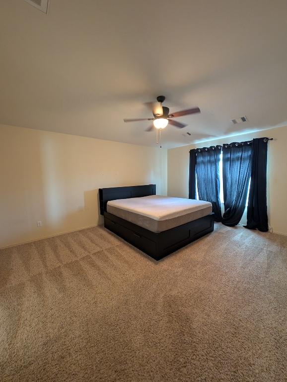 14501 Dreamtime Ln, Pflugerville, TX 78660 - photo 18