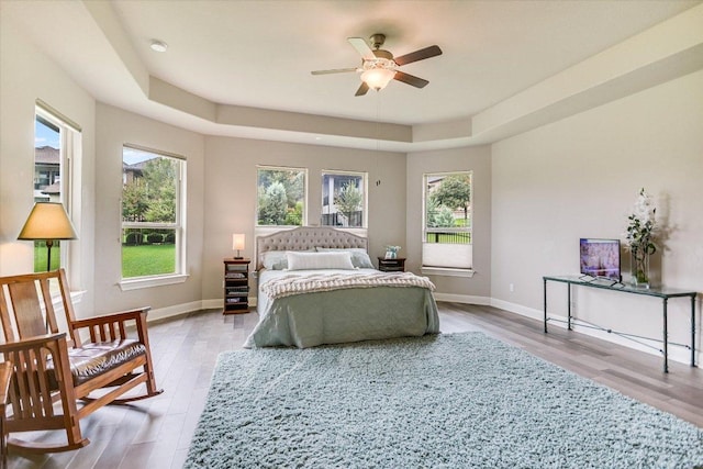 3221 Venezia Vw, Leander, TX 78641 - bedroom with a raised ceiling and light wood-type flooring