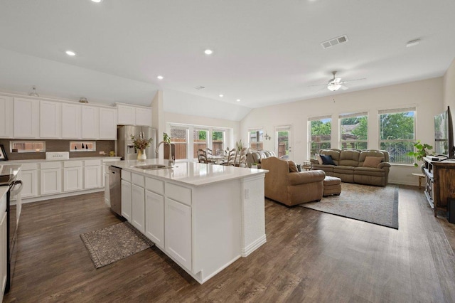 1437 Morning View Rd, Georgetown, TX 78628 - kitchen with a sink, stainless steel appliances, ceiling fan, healthy amount of natural light, and vaulted ceiling