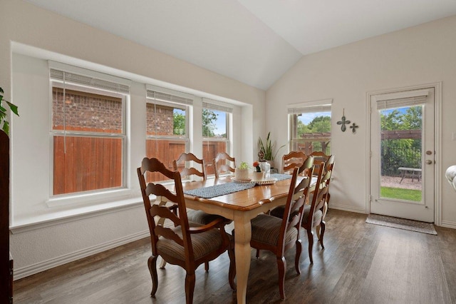 1437 Morning View Rd, Georgetown, TX 78628 - dining area featuring vaulted ceiling, wood finished floors, and baseboards