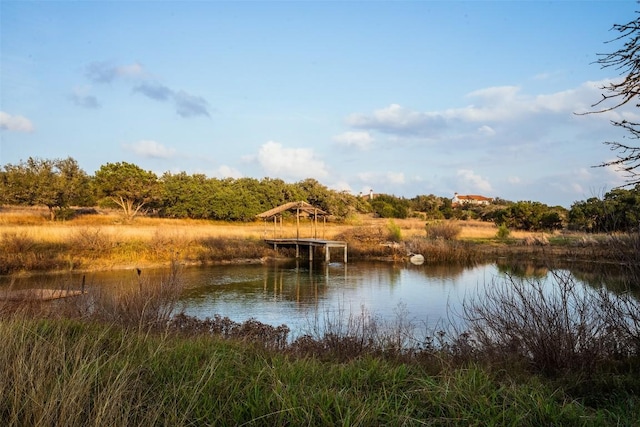 17650 Hamilton Pool Rd, Austin, TX 78738