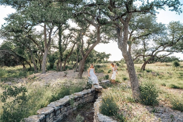 17650 Hamilton Pool Rd, Austin, TX 78738