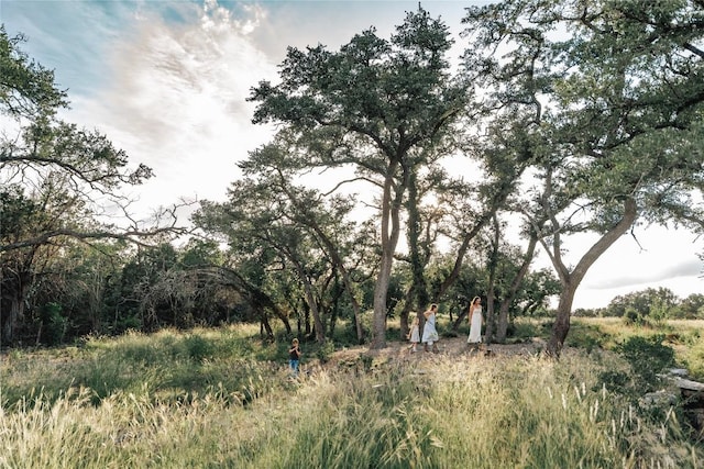 17650 Hamilton Pool Rd, Austin, TX 78738