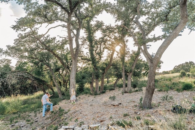 17650 Hamilton Pool Rd, Austin, TX 78738