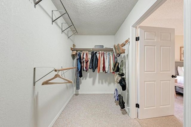 3310 Monument Dr, Round Rock, TX 78681 - spacious closet with carpet floors