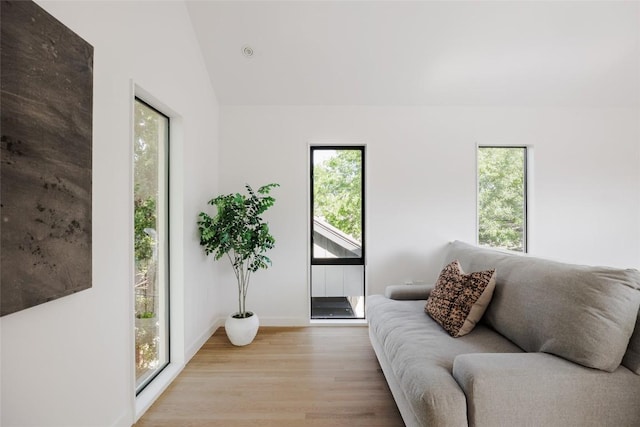 928 E 54th St, Austin, TX 78751 - living room featuring plenty of natural light, wood finished floors, and vaulted ceiling