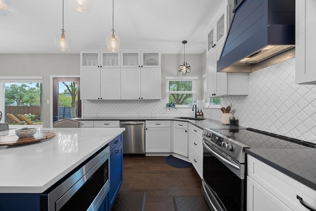 2003 Red Oak Cir, Round Rock, TX 78681 - kitchen with stainless steel appliances, custom exhaust hood, plenty of natural light, and white cabinetry