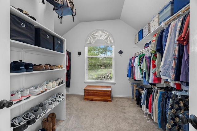 2003 Red Oak Cir, Round Rock, TX 78681 - spacious closet featuring carpet flooring and lofted ceiling