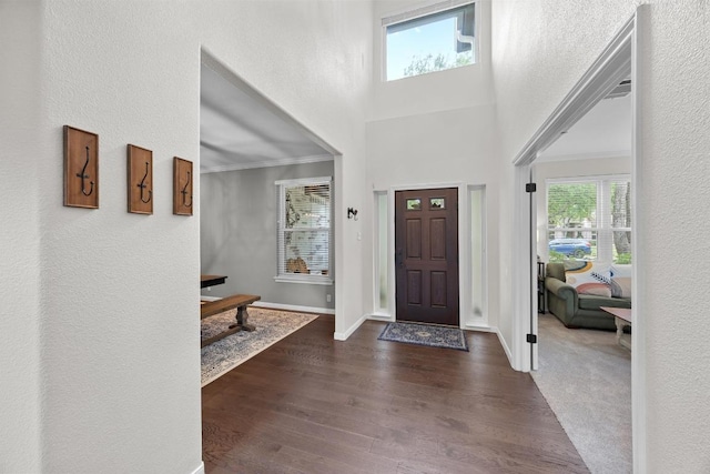 2003 Red Oak Cir, Round Rock, TX 78681 - foyer with dark wood-style flooring, a textured wall, and crown molding