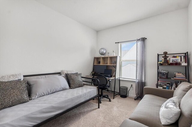 8103 Mandela Bnd, Austin, TX 78744 - photo 15