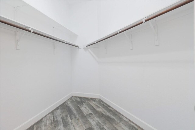 204 Hopping Peach St, San Marcos, TX 78666 - walk in closet featuring wood finished floors