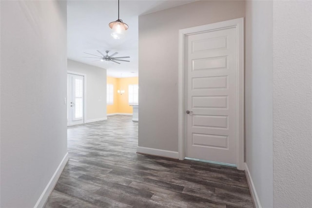 204 Hopping Peach St, San Marcos, TX 78666 - hall featuring dark wood-type flooring and baseboards
