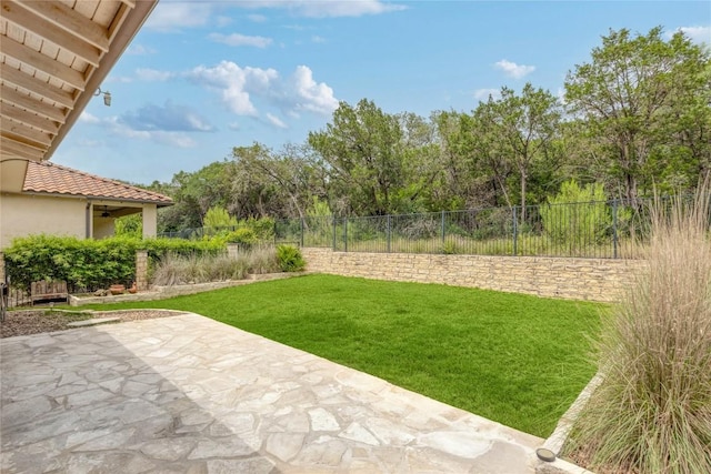 204 Hopping Peach St, San Marcos, TX 78666 - view of yard with a patio and ceiling fan