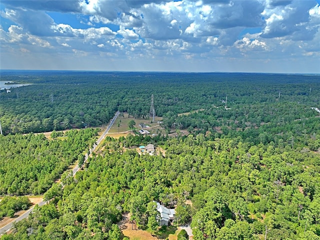 TBD Pine Tree Loop, Bastrop, TX 78602