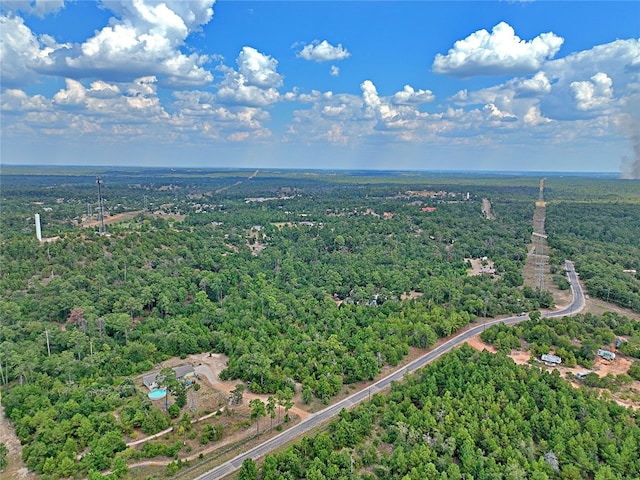 TBD Pine Tree Loop, Bastrop, TX 78602