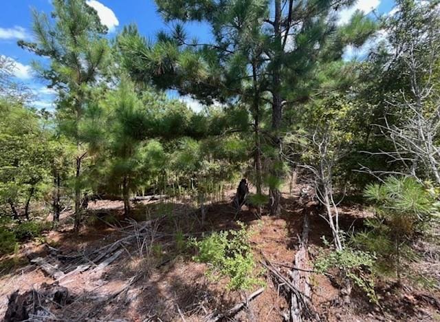 TBD Pine Tree Loop, Bastrop, TX 78602